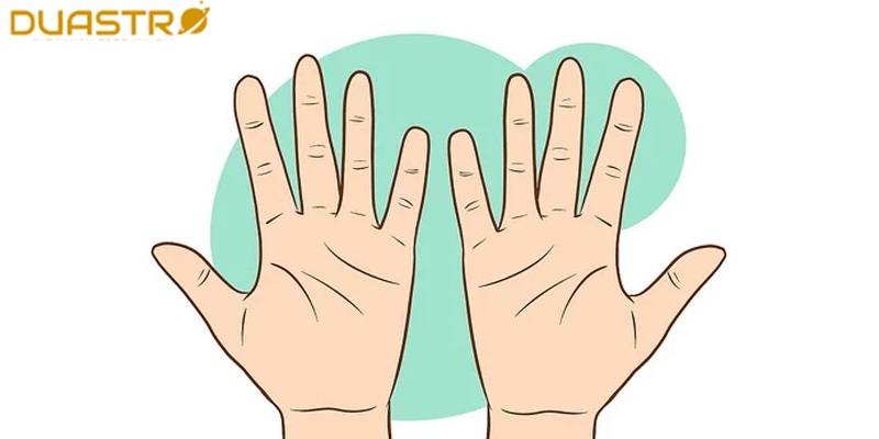 Hand Reading and Communication Styles 